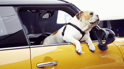 Спайк в новом MINI Cooper 