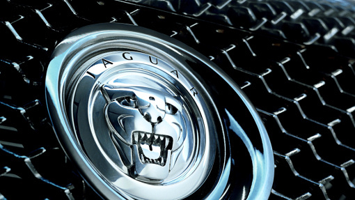 Jaguar 
